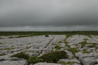 Sheshymore Limestone pavement exposes shallow water carbonates of the Brigantian, Slievenaglasha Formation. These classic kharstified exposures of tabular blocks of limestone pavement, Clints, are cut by vertical fractures, Grikes, which were widened by post glacial disolution (McNamara, & Hennessy, 2010). Fractures were intially established during Variscan folding (Coller, 1984).